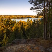 Финская осень. :: Elena Klimova