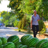 &quot;Арбузы у тротуара&quot; :: Александр NIK-UZ