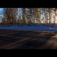 в дороге... :: Сергей Голошейкин