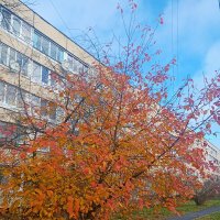 Осень в городе :: Сергей Кочнев