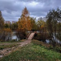 Скромное обаяние октября :: Андрей Лукьянов
