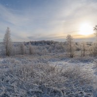 Вот и зима.... :: Олег Кулябин