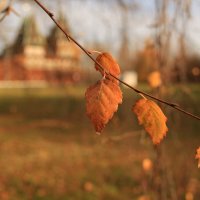 Осень В Коломенском :: Ninell Nikitina
