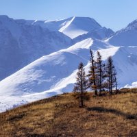 Осень горная :: Виктор Четошников