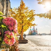 Осенние цветы на Красной Площади :: Юлия Батурина