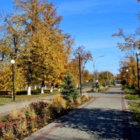 На аллеях осеннего сонного парка. :: Восковых Анна Васильевна 