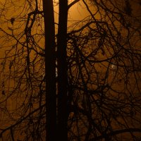Ночь, улица, туман... :: андрей громов