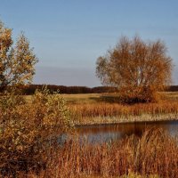 Осенняя задумчивость пруда. :: Восковых Анна Васильевна 