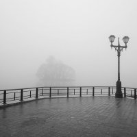 В тумане ... :: Лариса Корженевская