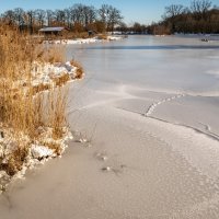 В прошлый раз :: Николай Гирш