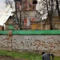 Предзимние хлопоты :: Наталья Шабалина 