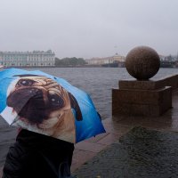 Все сидим по домам? :: Майя Жинкина