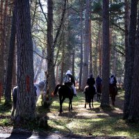 Архыз, конные прогулки :: Evgeny Mameev