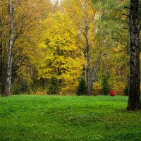 Осень в парке :: Елена Кириллова