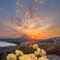 Цветы и Вулканы :: Денис Будьков