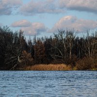 В пойме Каневского водохранилища :: Олег 