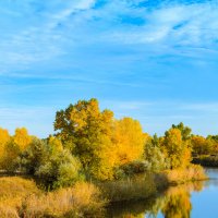 Золотое отражение :: Вадим Фотограф