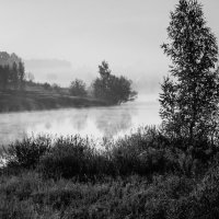 Утренний туман над прудом. :: Алексей Ковынев