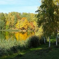 Осенний пейзаж с берёзками (из поездок по области). :: Милешкин Владимир Алексеевич 