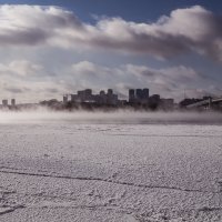 *** :: Елена Берсенёва