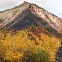 Осенние краски Камчатки :: Галина Ильясова