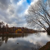 В осеннем парке... :: Сергей Кичигин