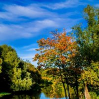 Осень на реке Angerapp. :: Владимир Камшилов