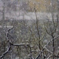 Поэзия снега и дождя :: олег свирский 