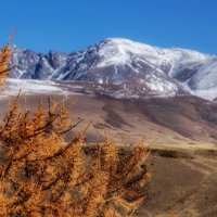 Курайский хребет :: Виктор Четошников