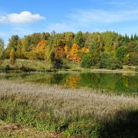 Осенний пейзаж. :: Милешкин Владимир Алексеевич 