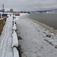 Амур начинает замерзать. :: Виктор Иванович Чернюк