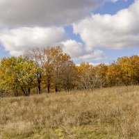 *** :: Александр 