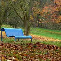 синяя скамейка в парке :: Heinz Thorns