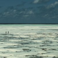 Индийский океан,Танзания,отлив :: alexx Baxpy