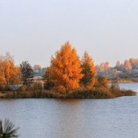 Золотая осень :: Владимир Зеленцов