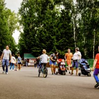 Парк «Березовая роща» :: Сергей Царёв