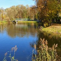 Солнечный день в парке :: Нина Синица