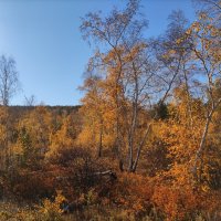 Осень :: Anna Ivanova