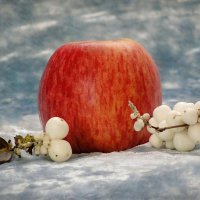 "Яблуко і сніжноягідник" :: Ростислав Кухарук