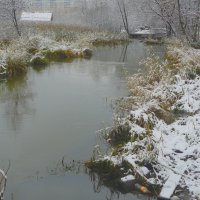 Тихая мелодия :: олег свирский 