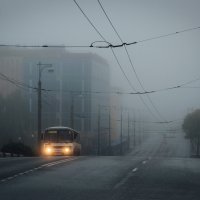 Туманное утро :: Роман Марков