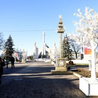 .... :: Мираслава Крылова