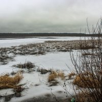 Первый лёд. :: веселов михаил 