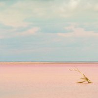Розовое озеро Сасык-Сиваш :: AZ east3