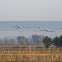 нижний новгород-пермь по рекам.плывем дальше. :: юрий макаров