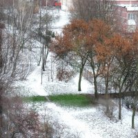 Снег и у нас !.. :: Юрий Куликов