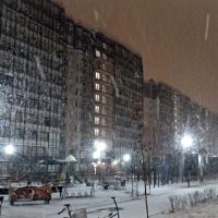 Первый снег :: Елена Вишневская