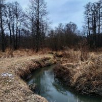 Вдоль да по речке, речке Серебрянке :: Андрей Лукьянов