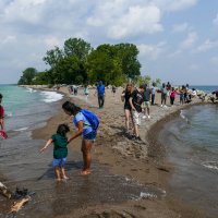 На самом юге полуострова Пойнт Пели (Point Pelee, Канада) :: Юрий Поляков