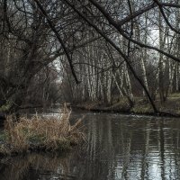 У Тихо Воды :: юрий поляков